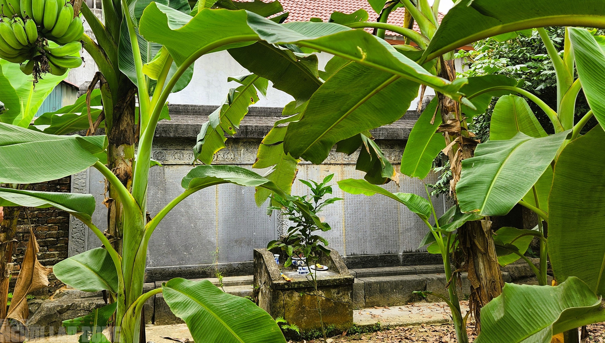 Bia cổ hơn 300 năm ở Thanh H&oacute;a th&agrave;nh tường r&agrave;o nh&agrave; d&acirc;n - Ảnh 6.