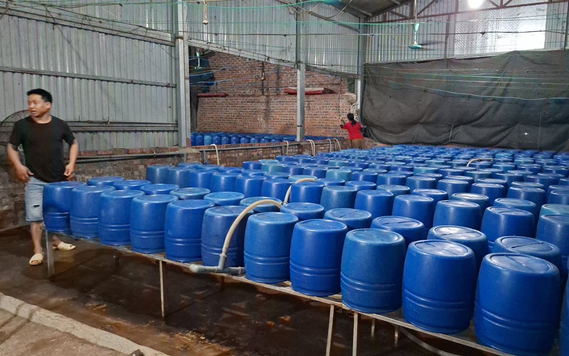 Cận cảnh bên trong cơ sở sản xuất hơn 500 tấn giá đỗ có sử dụng chất độc hại