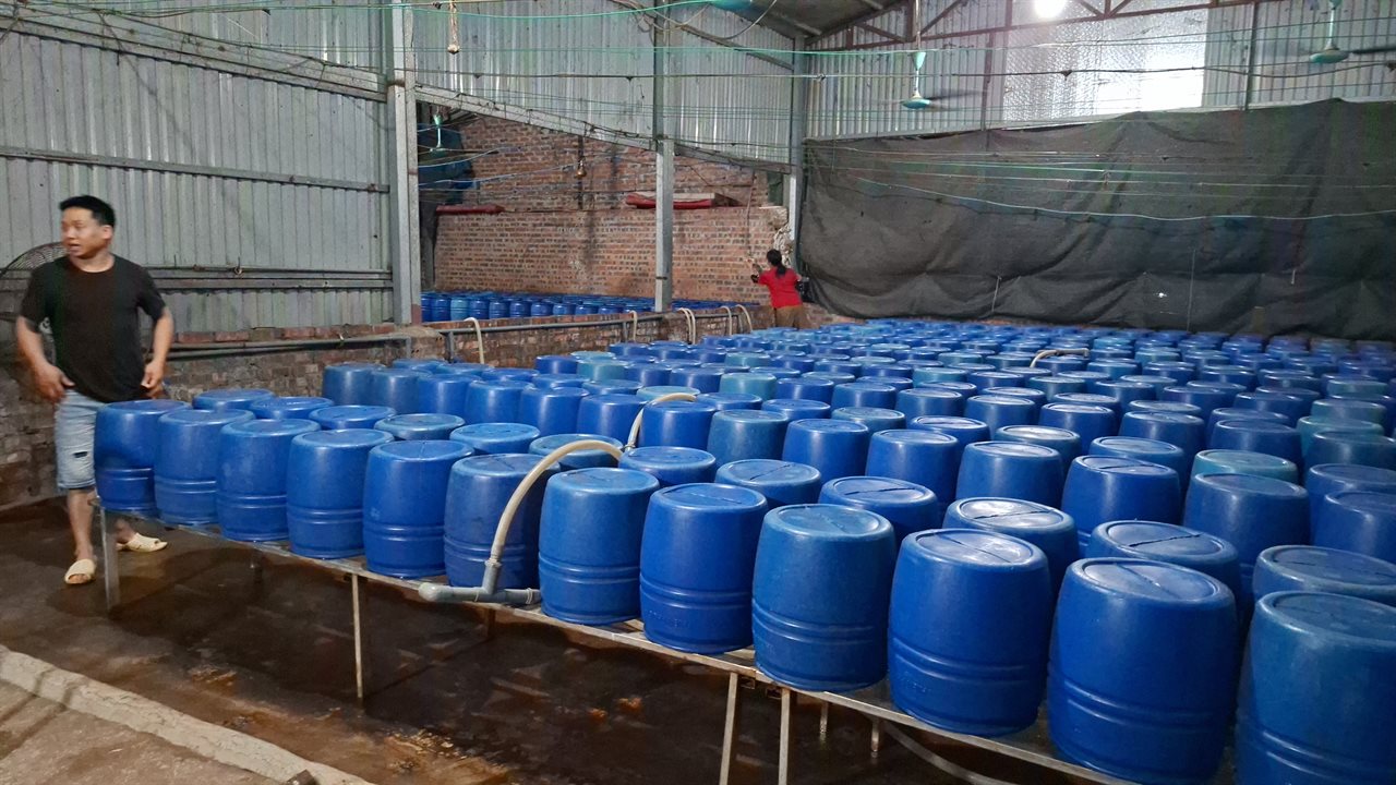 Cận cảnh b&ecirc;n trong cơ sở sản xuất hơn 500 tấn gi&aacute; đỗ c&oacute; sử dụng chất độc hại - Ảnh 6.