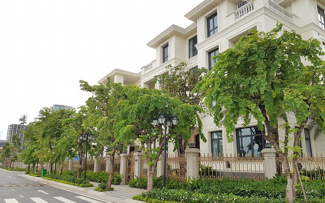 HoREA đề nghị bãi bỏ quy định “phân biệt” doanh nghiệp khi tiếp cận vốn vay
