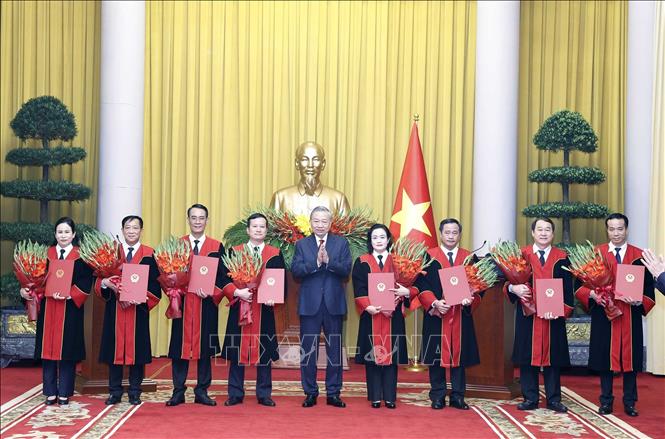 Tổng B&iacute; thư T&ocirc; L&acirc;m trao quyết định bổ nhiệm Thẩm ph&aacute;n T&ograve;a &aacute;n nh&acirc;n d&acirc;n tối cao 2026 - Ảnh 3.