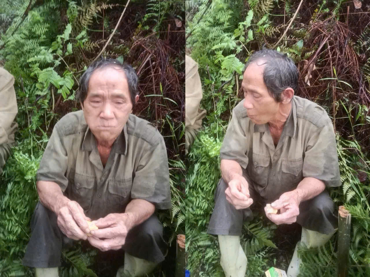 Vụ 300 người t&igrave;m kiếm người đ&agrave;n &ocirc;ng mất t&iacute;ch: T&igrave;m thấy trong t&igrave;nh trạng suy kiệt - Ảnh 1.