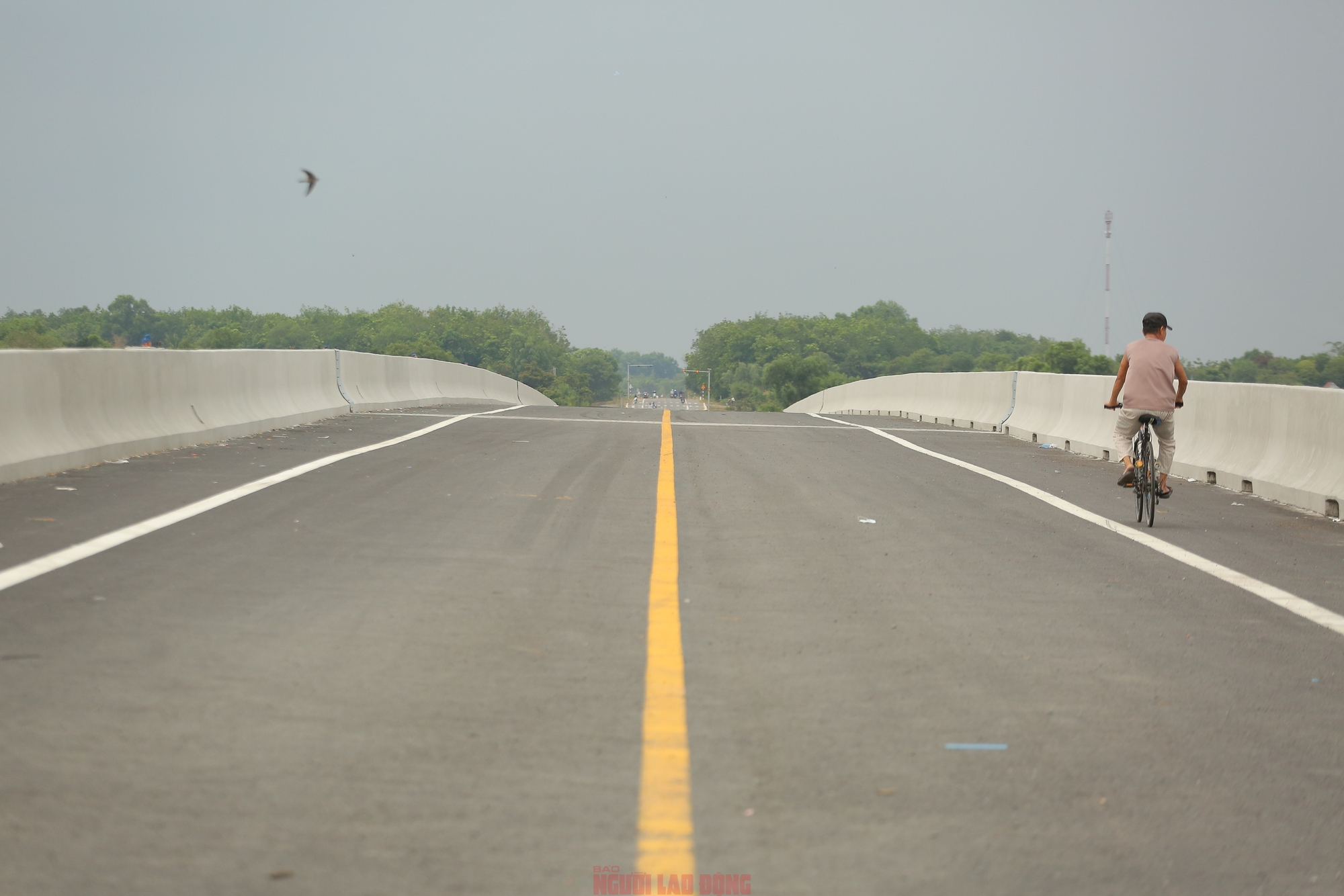 Cầu Tây Long và tuyến đường Hồ Chí Minh: Kết nối Long An - Tây Ninh 2026 - Ảnh 2.