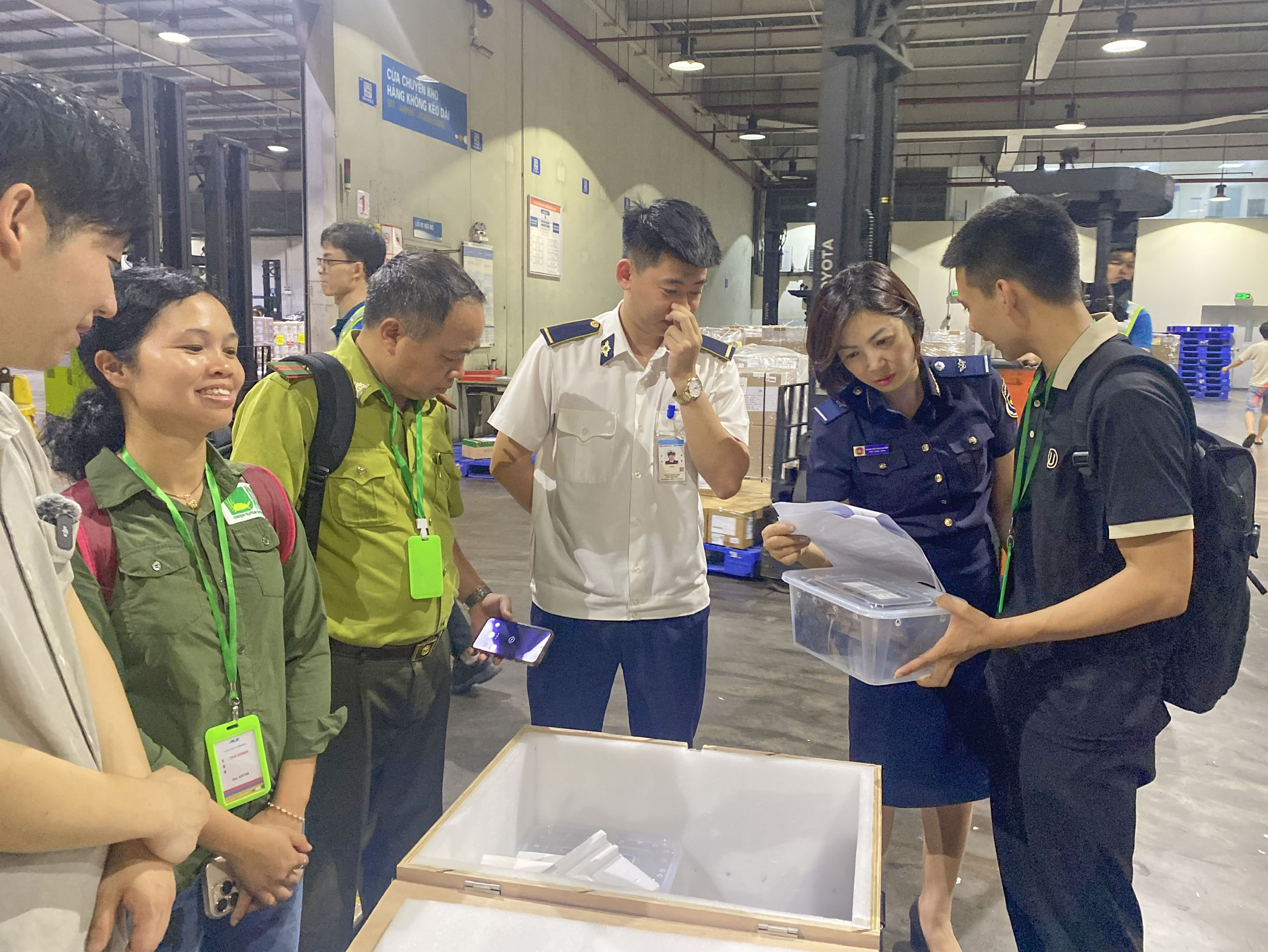 Tiếp nhận 28 c&aacute; thể r&ugrave;a qu&yacute; hiếm hồi hương từ H&agrave;n Quốc - Ảnh 1.