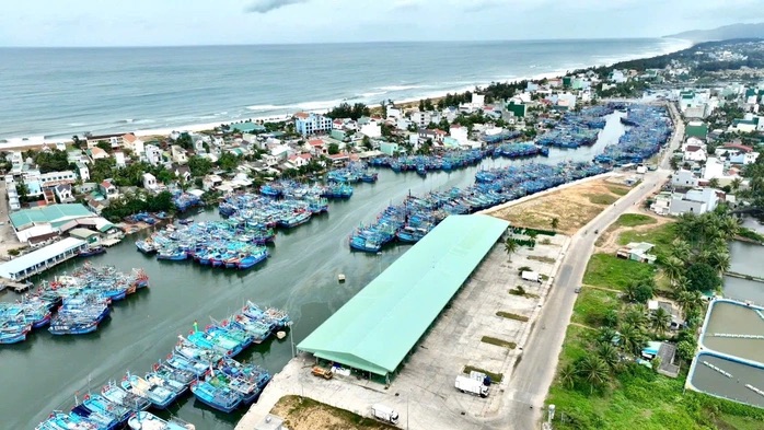 Gia Lai đề xuất x&acirc;y dựng trung t&acirc;m đấu gi&aacute; c&aacute; ngừ đại dương đầu ti&ecirc;n ở Đ&ocirc;ng Nam &Aacute; - Ảnh 1.