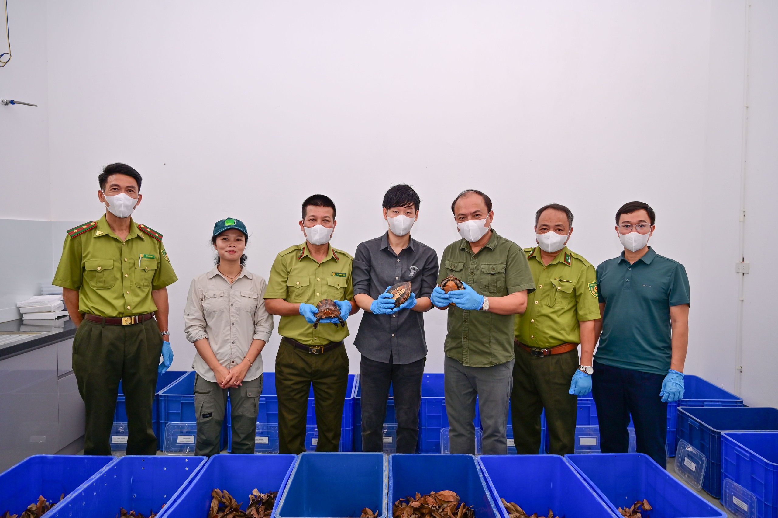 Tiếp nhận 28 c&aacute; thể r&ugrave;a qu&yacute; hiếm hồi hương từ H&agrave;n Quốc - Ảnh 2.