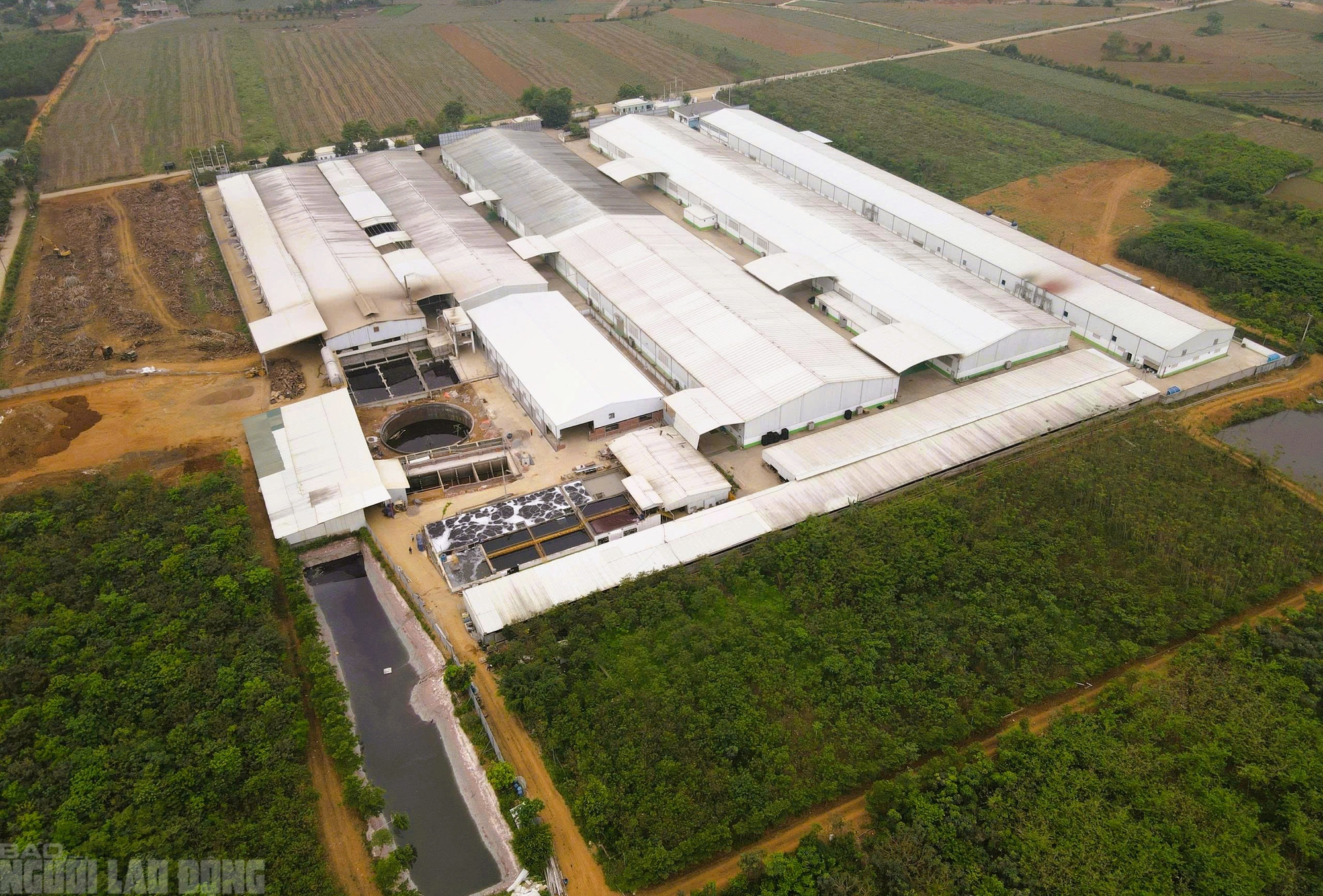 Vụ nước giếng khoan đổi màu tím: Xử phạt 1 Công ty TNHH BOB Hà Nội 1,5 tỉ đồng - Ảnh 1.