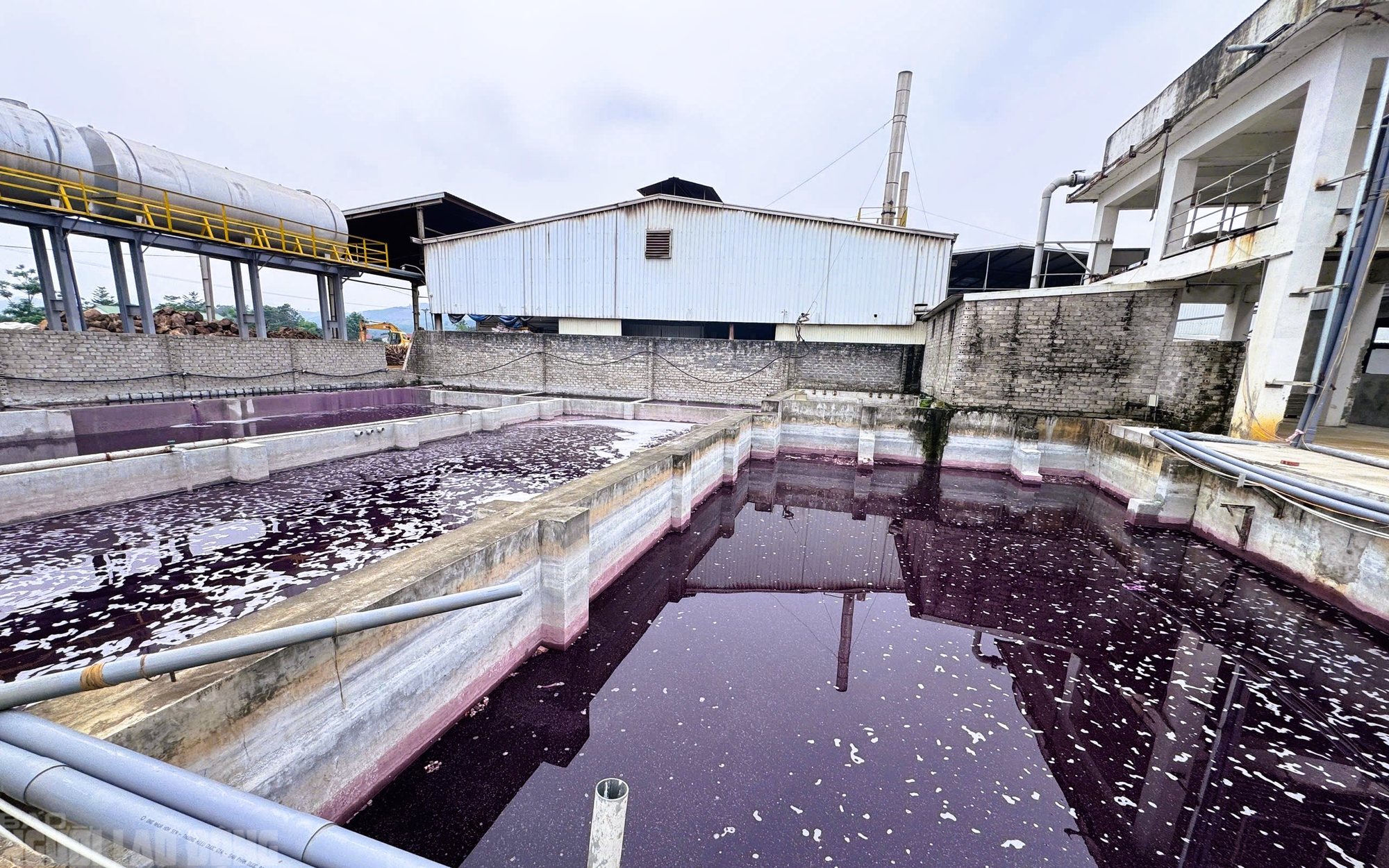Vụ nước giếng khoan đổi màu tím: Xử phạt 1 Công ty TNHH BOB Hà Nội 1,5 tỉ đồng - Ảnh 4.