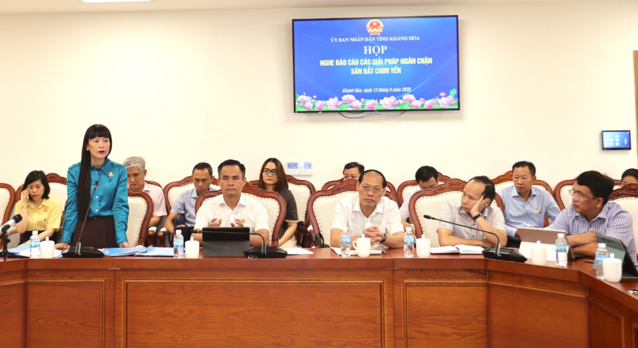 Quyết liệt ngăn chặn tình trạng săn bắt chim yến trái phép - Ảnh 2.