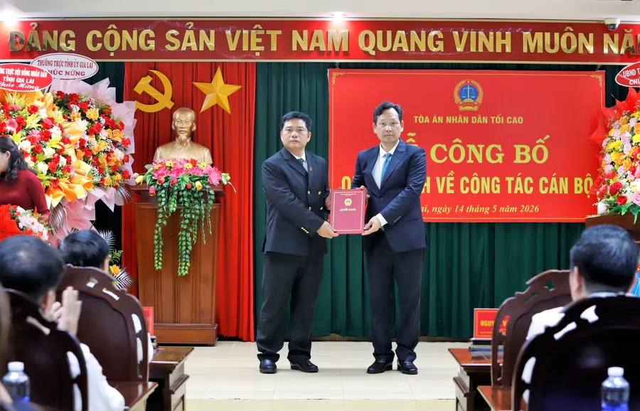 Ông Bùi Danh Đại làm Chánh án TAND tỉnh Gia Lai - Ảnh 1.