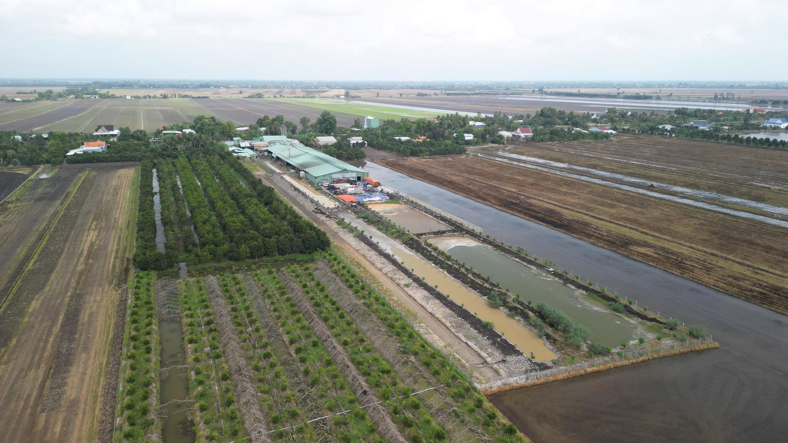 Tây Ninh xử phạt Công ty TNHH Nhà Phúc Hậu vi phạm môi trường hơn 170 triệu đồng - Ảnh 1.