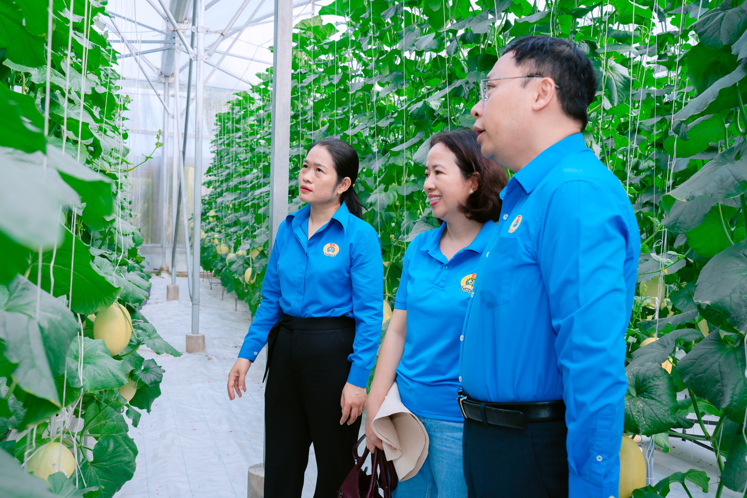 Xã Bình Lợi, TPHCM: Tri ân người lao động bằng những hoạt động thiết thực, nghĩa tình - Ảnh 3.