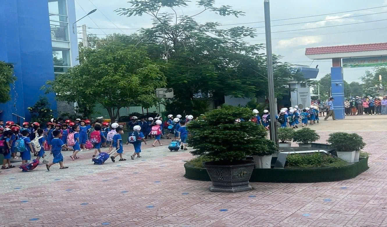 Hiệu trưởng Trường Tiểu học Lương Thế Vinh nói gì sau khi xin thôi chức? - Ảnh 2.