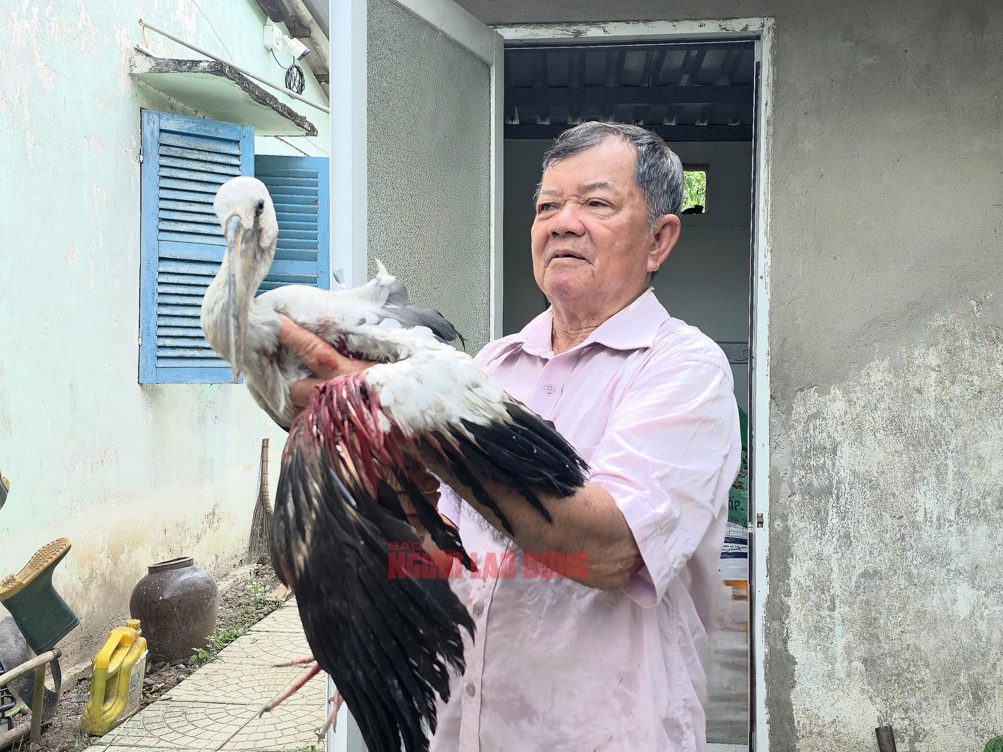 Vườn chim nổi tiếng đứng trước nguy cơ "xoá sổ", Chủ tịch UBND tỉnh Vĩnh Long chỉ đạo - Ảnh 3.