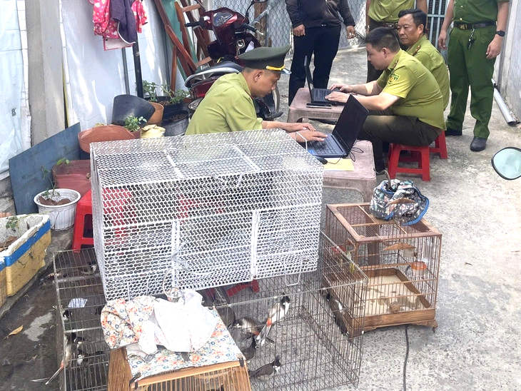 TPHCM tạm giữ 28 chim v&agrave; 4 cầy v&ograve;i hương nu&ocirc;i nhốt động vật rừng tr&aacute;i ph&eacute;p - Ảnh 1.