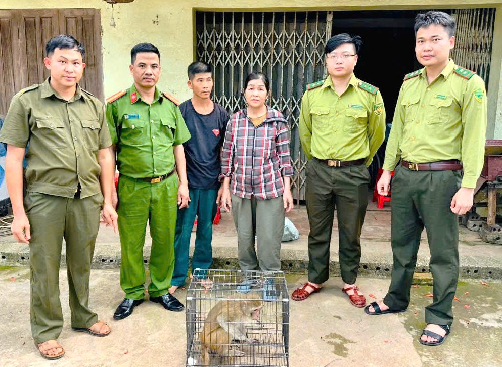 "T&ocirc;n ngộ kh&ocirc;ng" đi lạc v&agrave;o khu d&acirc;n cư, người d&acirc;n bắt giao nộp c&ocirc;ng an - Ảnh 1.