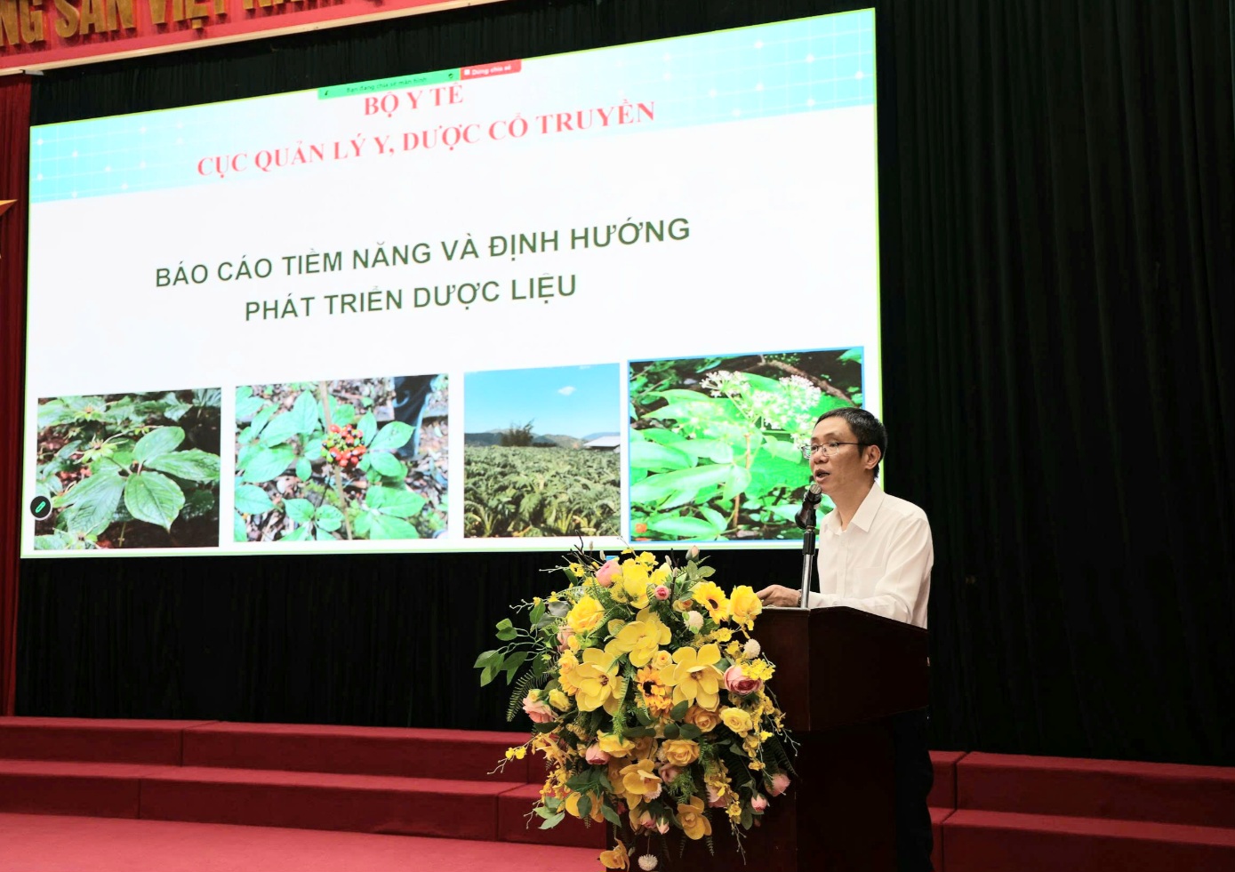Dược liệu Việt Nam t&igrave;m đường th&agrave;nh ng&agrave;nh kinh tế mũi nhọn - Ảnh 2.