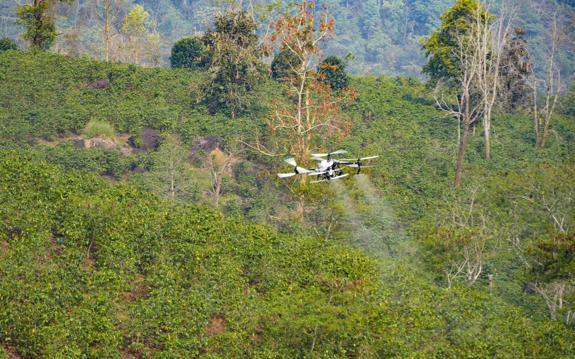 UAV mở hướng phát triển kinh tế vùng núi