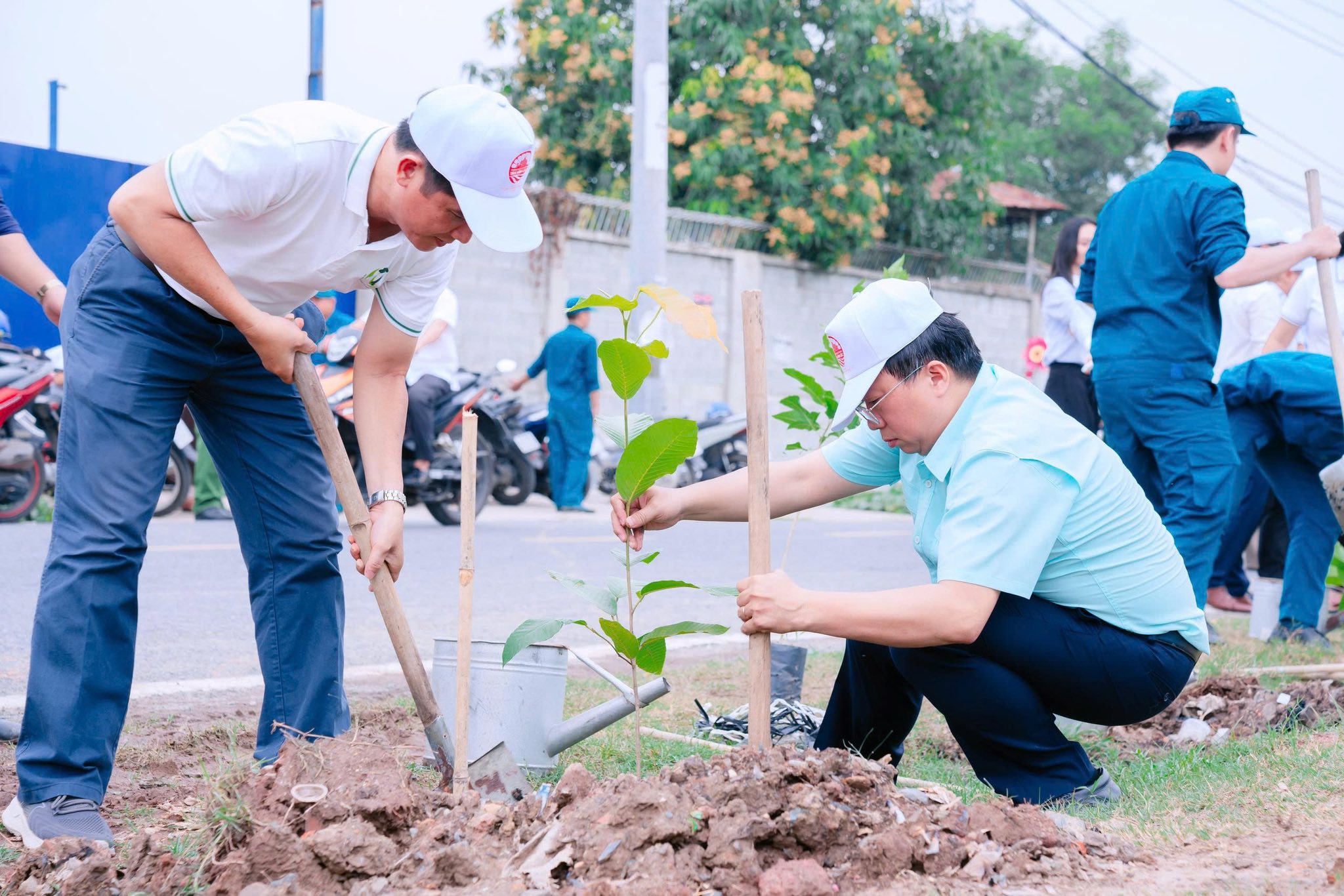 Xã Bình Hưng, TPHCM: Trồng hơn 1.800 cây xanh hưởng ứng "Đời đời nhớ ơn Bác Hồ" - Ảnh 11.