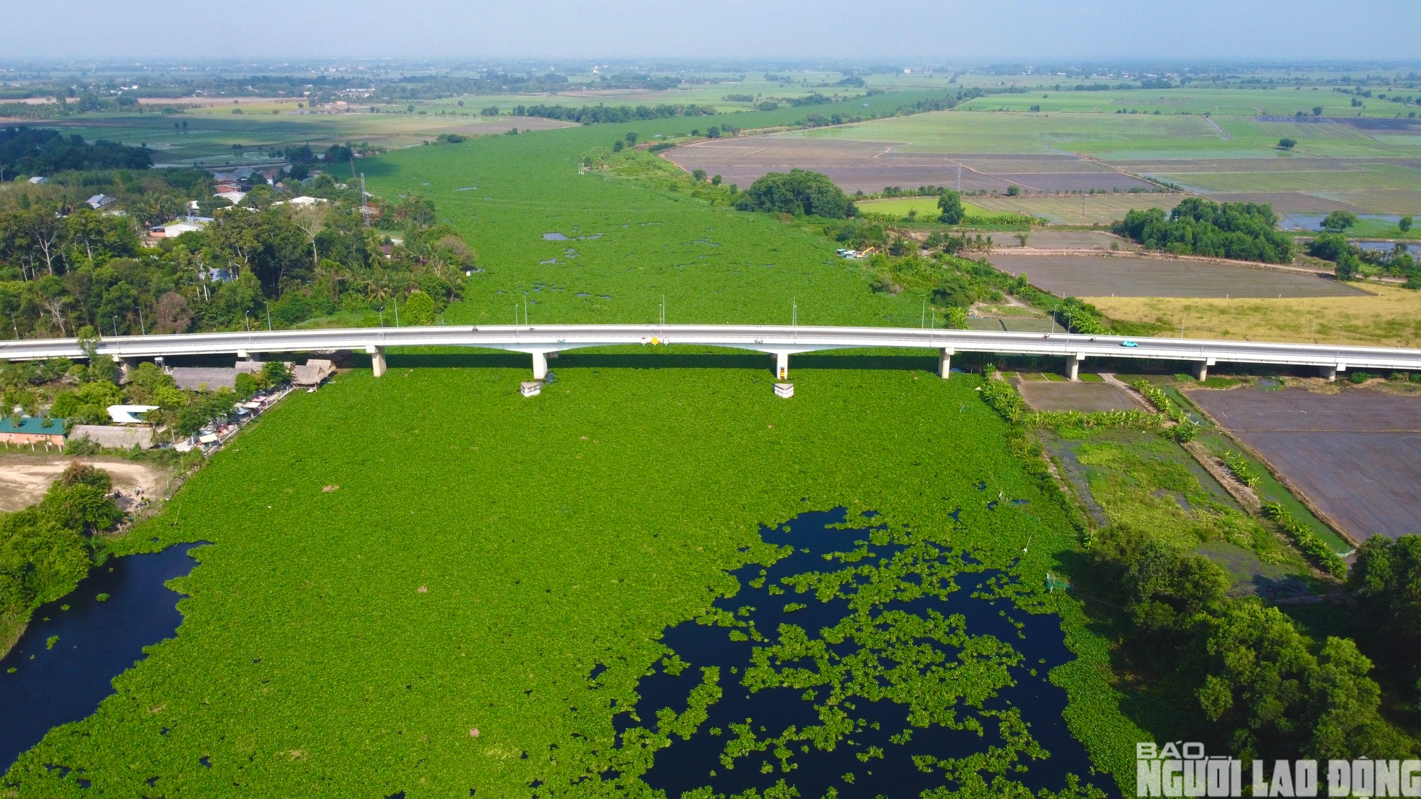 Nước sông Vàm Cỏ Đông ô nhiễm nghiêm trọng , người dân lo lắng về nguồn nước - Ảnh 2.