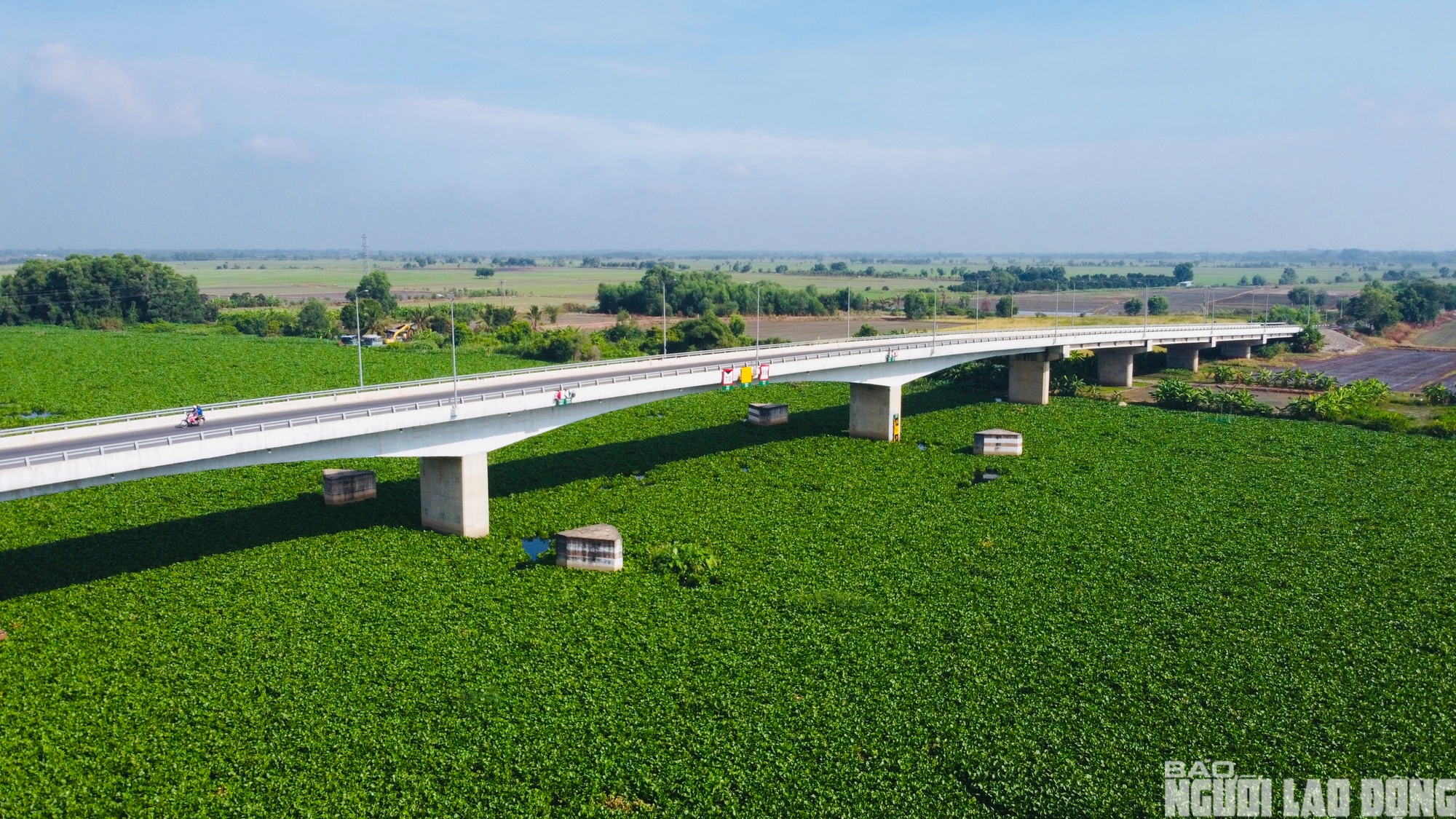 Nước sông Vàm Cỏ Đông ô nhiễm nghiêm trọng , người dân lo lắng về nguồn nước - Ảnh 5.