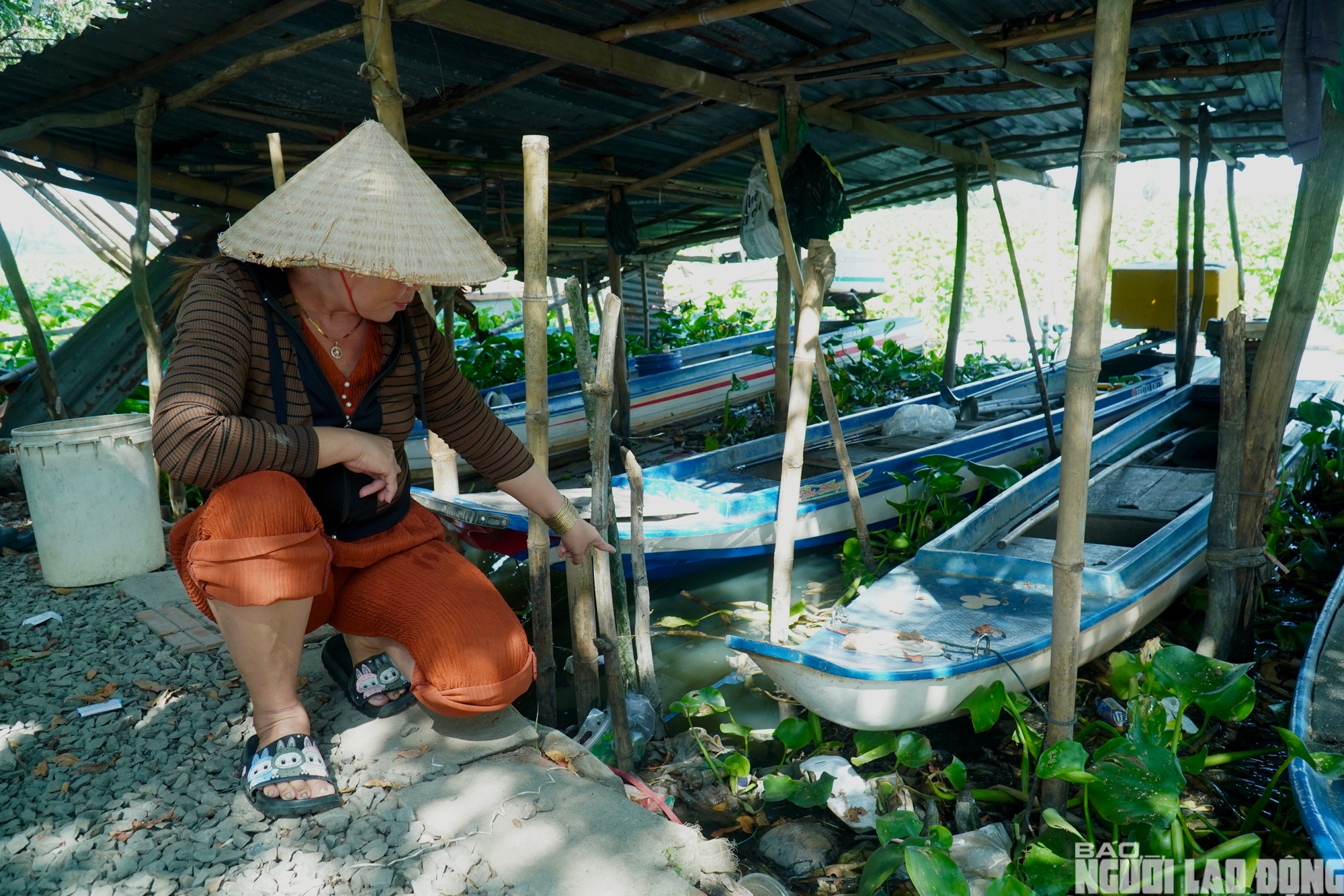 Nước sông Vàm Cỏ Đông ô nhiễm nghiêm trọng , người dân lo lắng về nguồn nước - Ảnh 8.