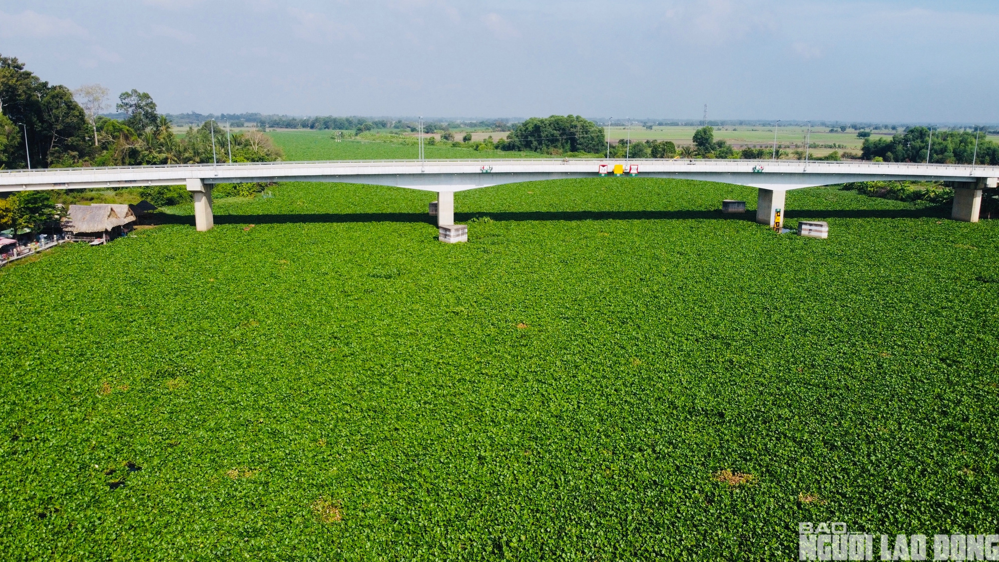 Nước sông Vàm Cỏ Đông ô nhiễm nghiêm trọng , người dân lo lắng về nguồn nước - Ảnh 15.