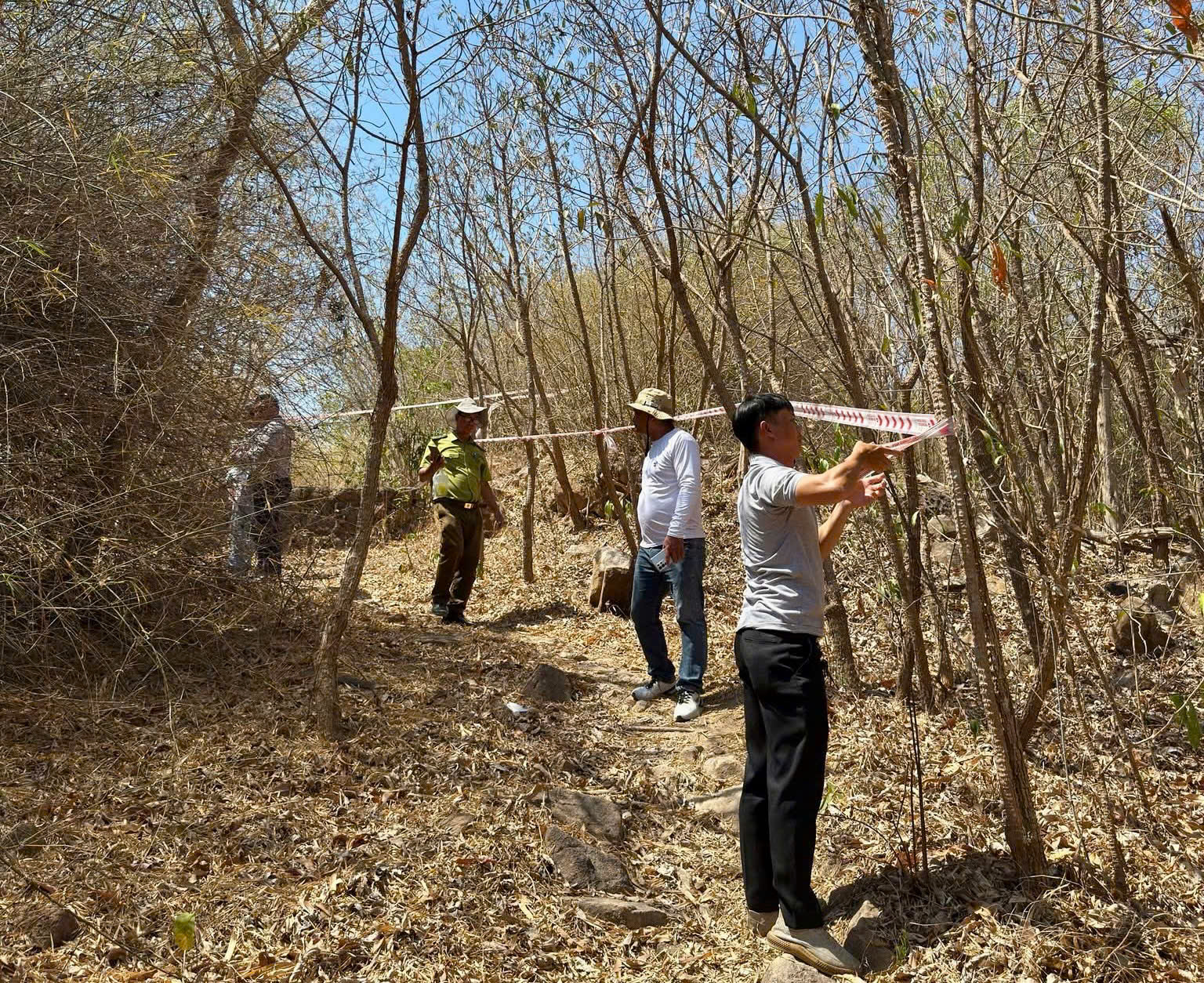 "Cung đường xanh" giữa l&ograve;ng Vũng T&agrave;u - Ảnh 1.