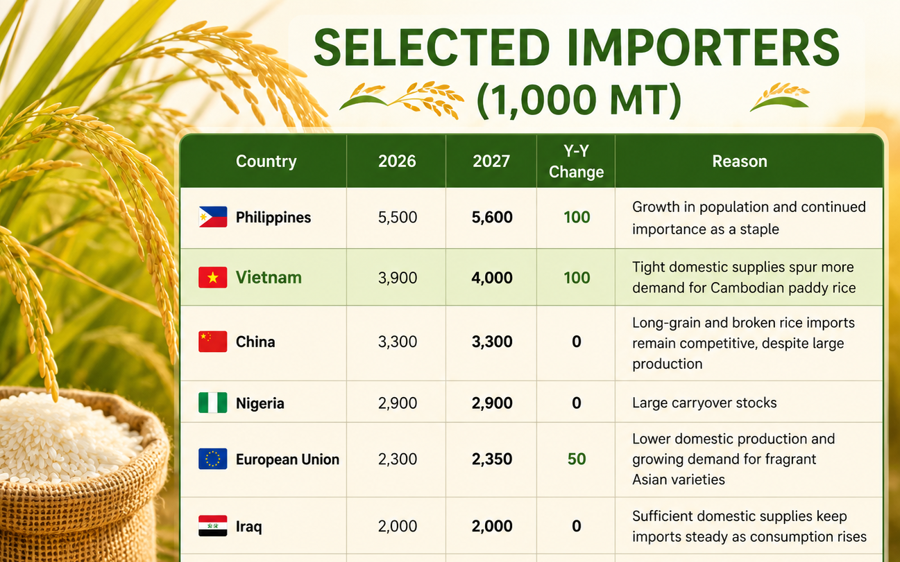 Mỹ dự báo Việt Nam nhập khẩu gạo nhiều hơn cả Trung Quốc, tiếp tục xếp thứ 2 thế giới