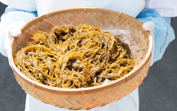 Fucoidan và xu hướng bảo vệ sức khỏe từ bên trong