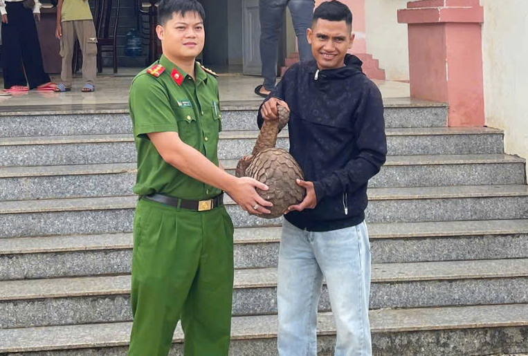 Người d&acirc;n Đắk Lắk giao nộp động vật q&uacute;y hiếm t&ecirc; t&ecirc; Java v&agrave; chim diều hoa Miến Điện - Ảnh 1.