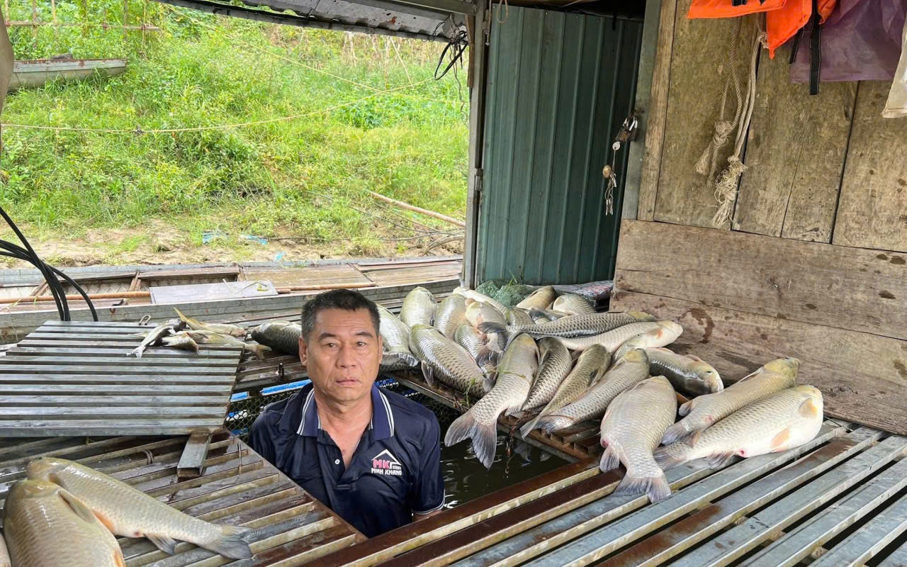 Vụ cá chết hàng loạt trên sông: Kết quả phân tích các mẫu nước