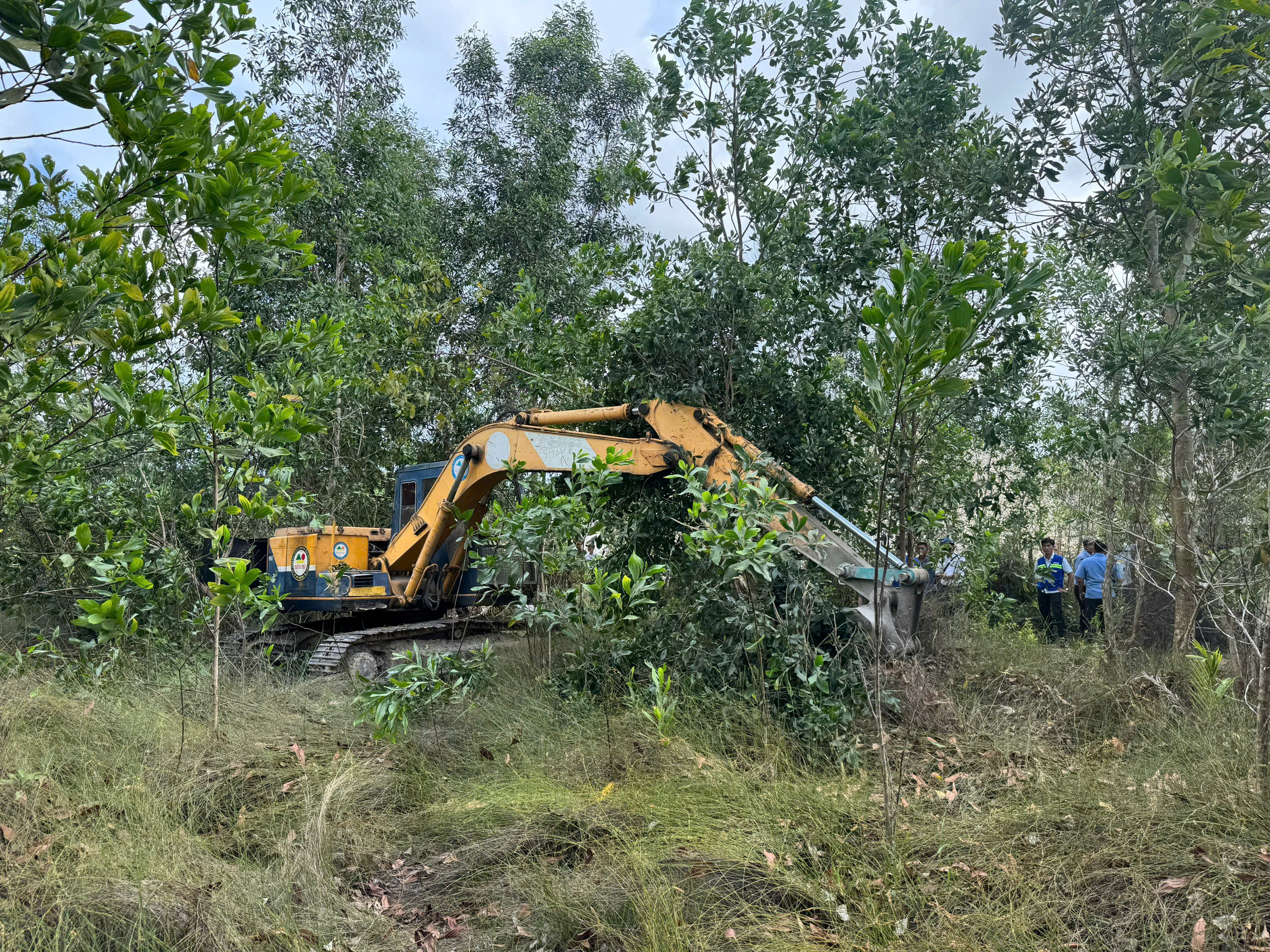 Phú Quốc cưỡng chế 4 cá nhân chiếm đất rừng 46 . 000 M2 để bảo vệ tài nguyên - Ảnh 7.