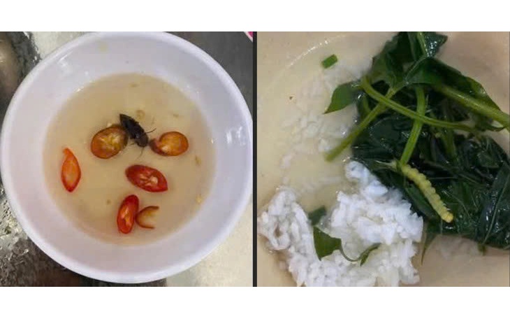 Doanh nghiệp cung ứng bữa ăn xin lỗi sinh viên vì "canh rau có sâu"