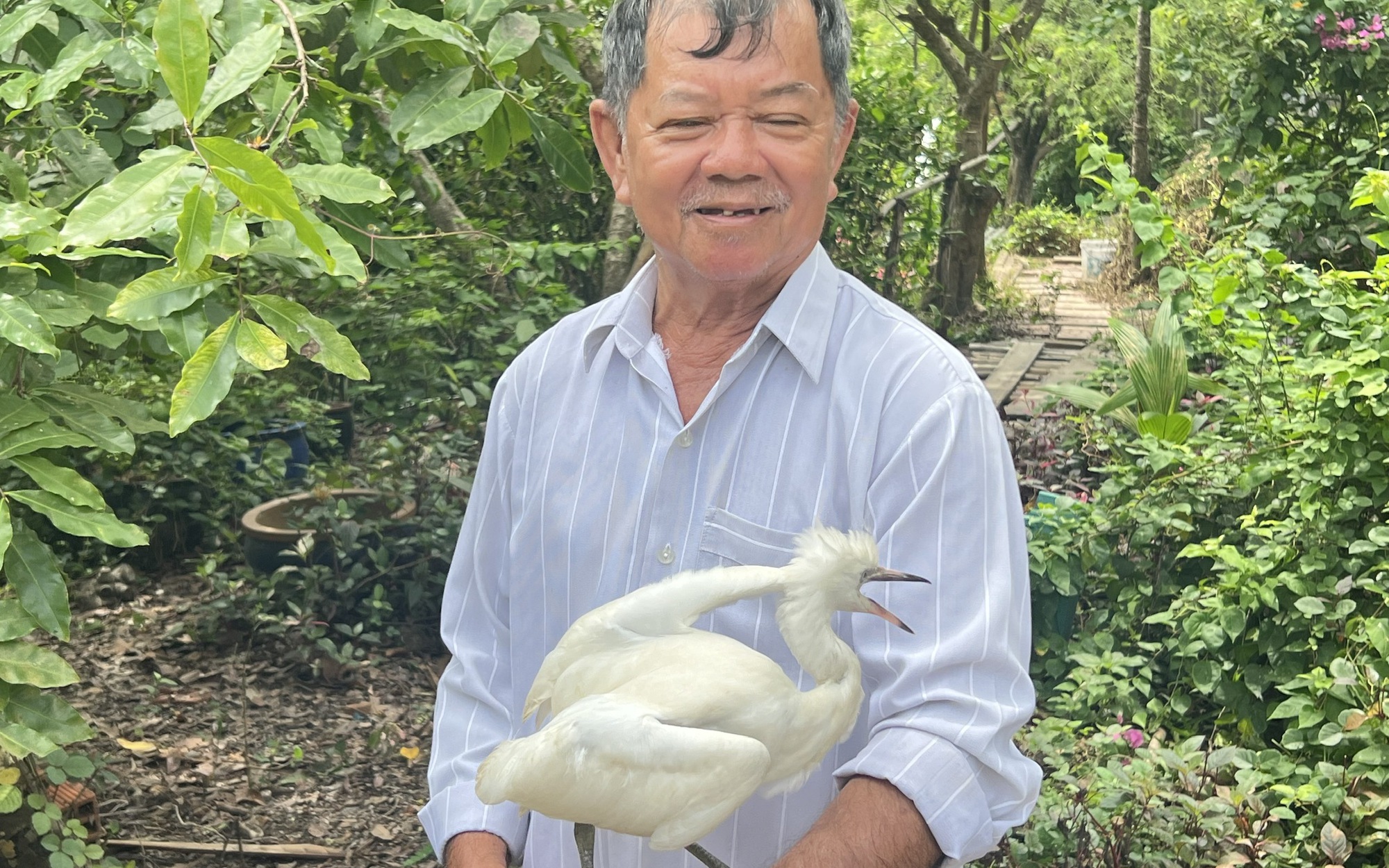 Vụ chủ vườn chim Hai Chìa "kêu cứu": Tỉnh Vĩnh Long thống nhất bảo vệ để phát triển du lịch