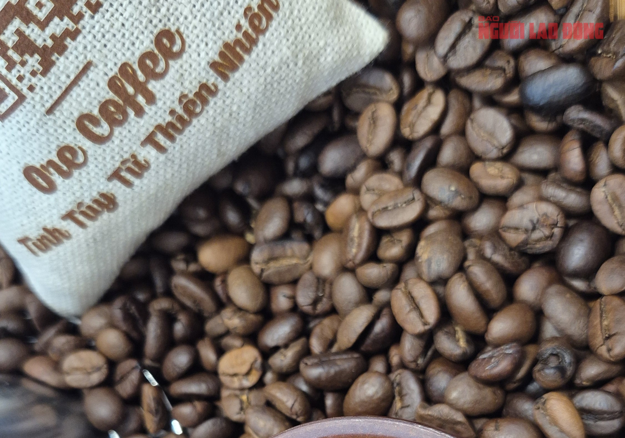 Giá cà phê hôm nay 23-5: Robusta tăng tiếp - Ảnh 1.