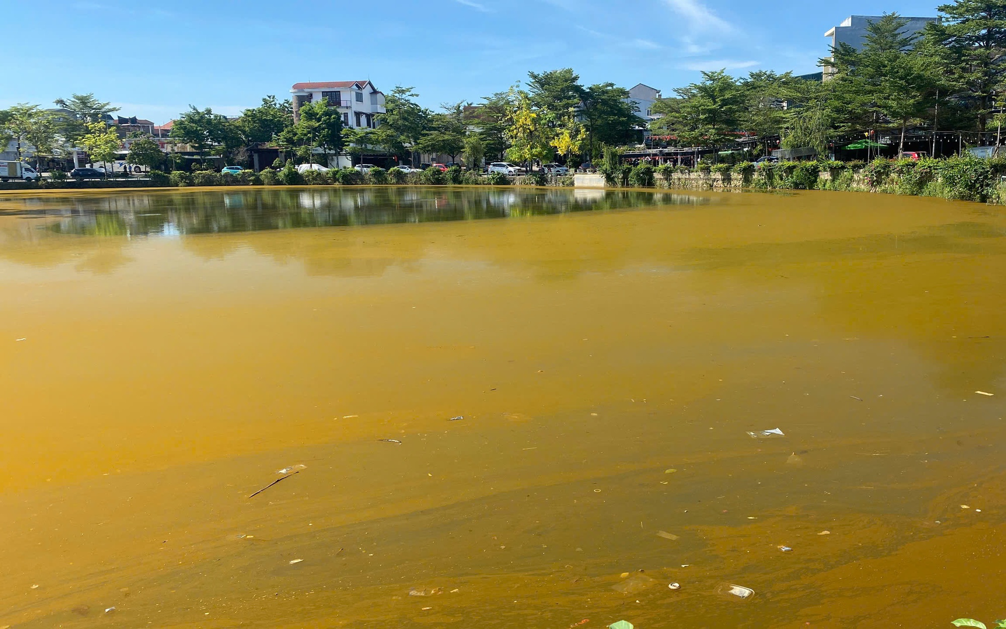 Hồ Trái Tim ở Huế xuất hiện màu nâu vàng bất thường