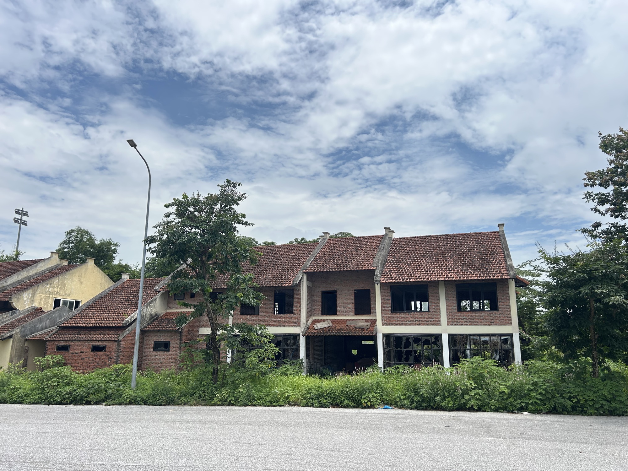 - Ảnh 15.