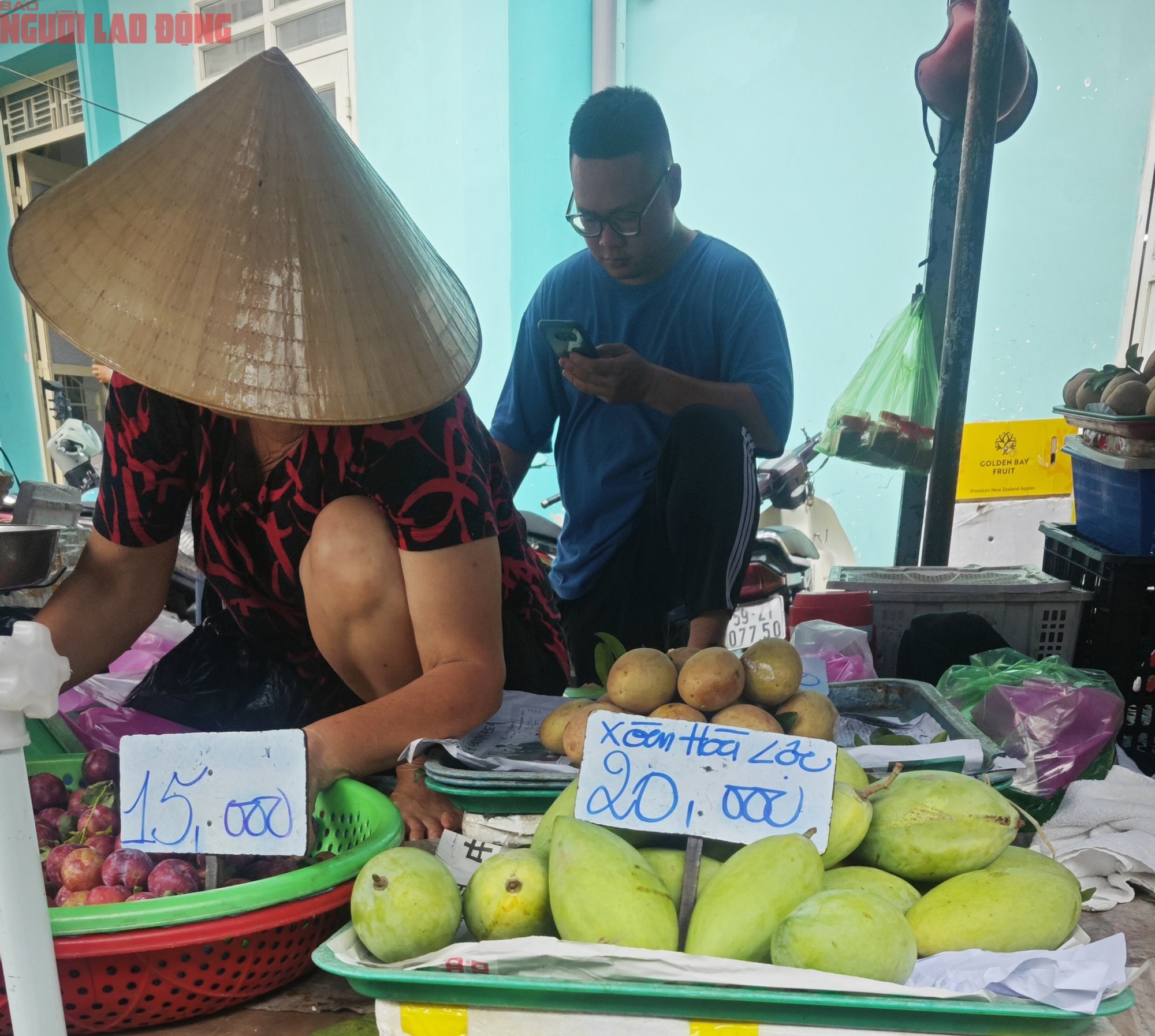 Xoài rẻ hiếm có, nhà máy mua trữ đến tháng 10 - Ảnh 2.