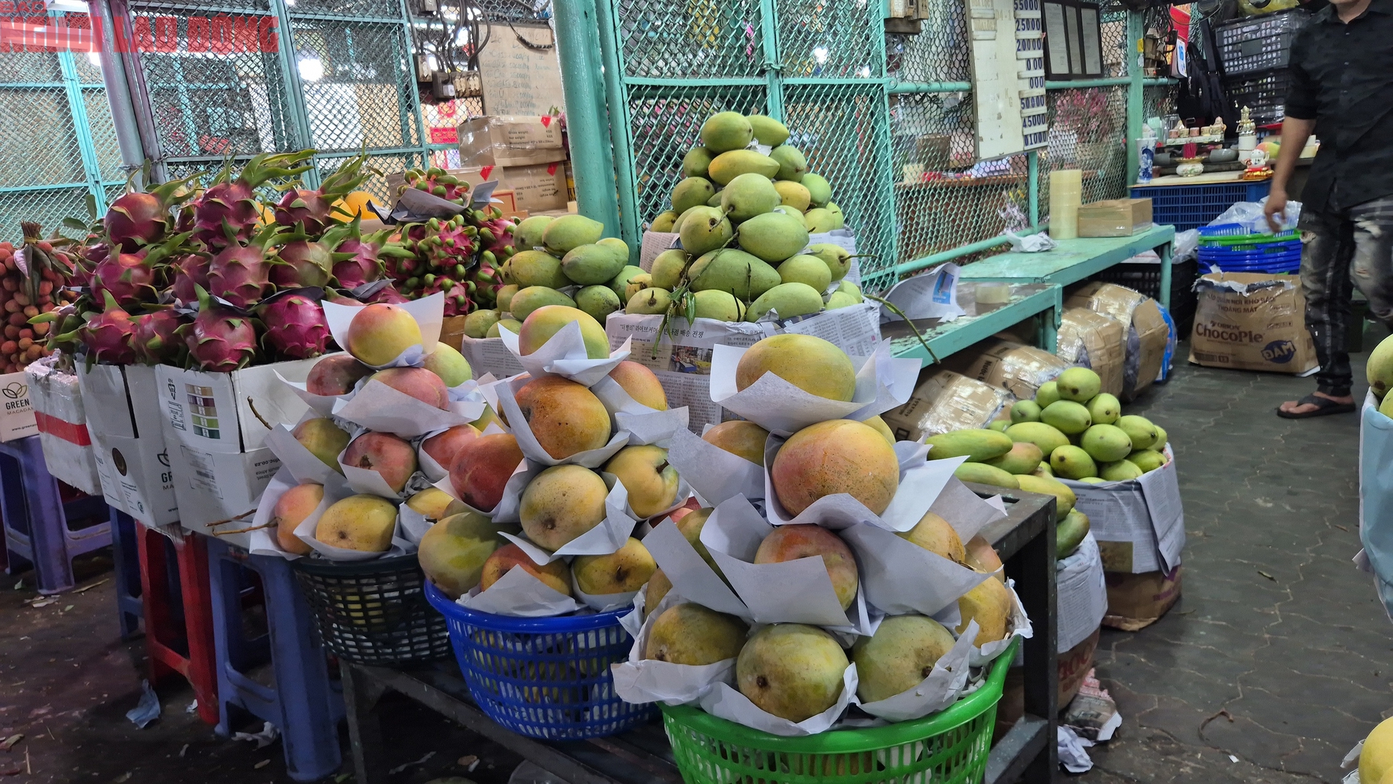 Xoài rẻ hiếm có, nhà máy mua trữ đến tháng 10 - Ảnh 3.