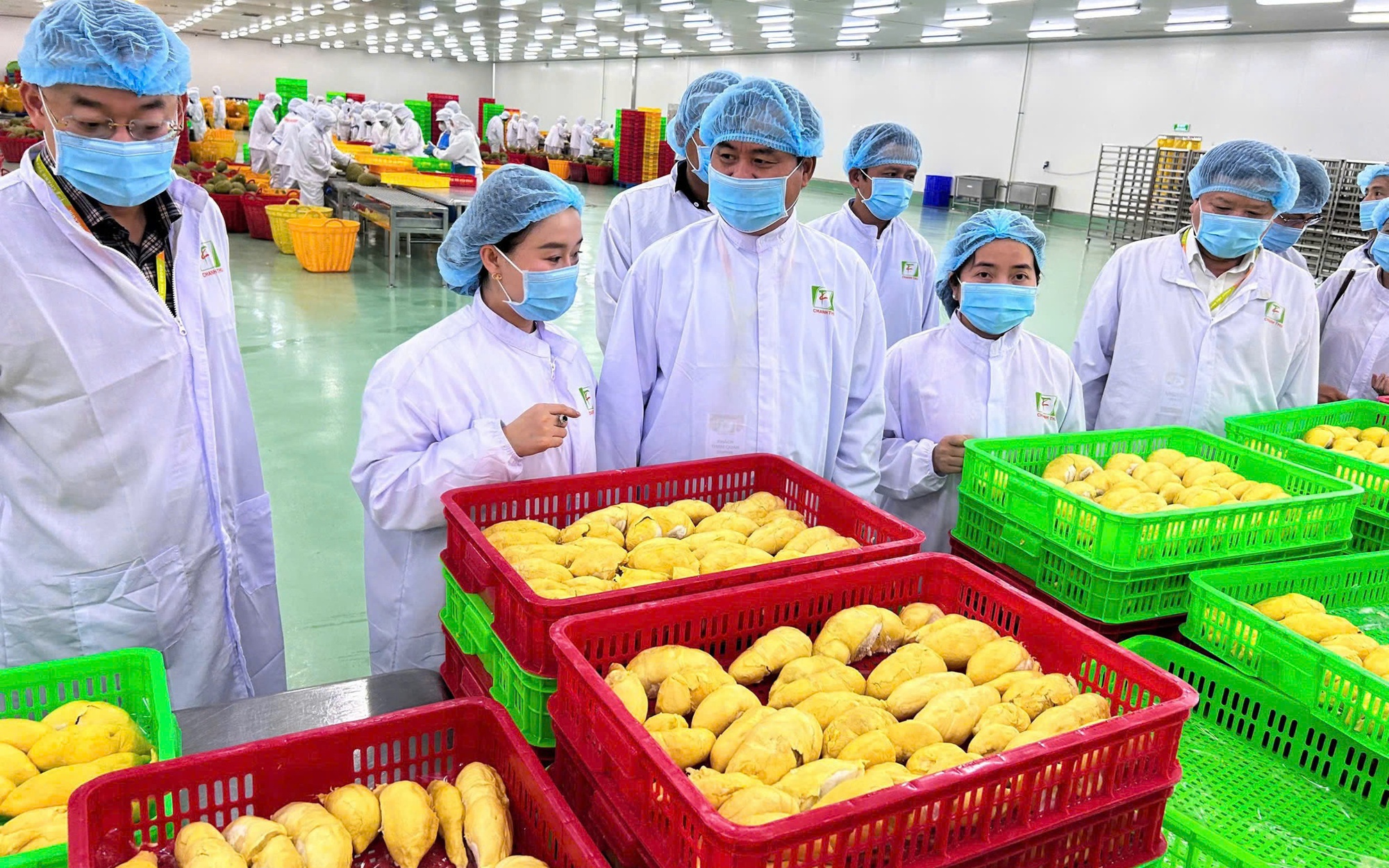 Nông sản Việt thích ứng quy định từ Trung Quốc