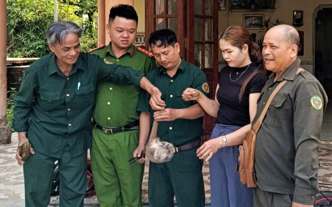 Thả con vật đặc biệt quý hiếm về rừng Đà Nẵng