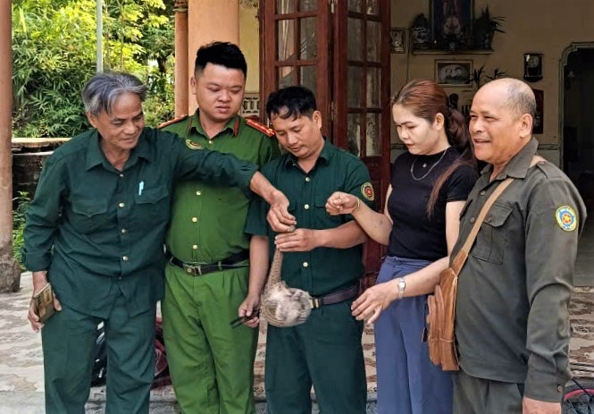 Thả t&ecirc; t&ecirc; q&uacute;y hiếm về rừng Đ&agrave; Nẵng: Bảo vệ động vật hoang d&atilde; 2026 - Ảnh 3.