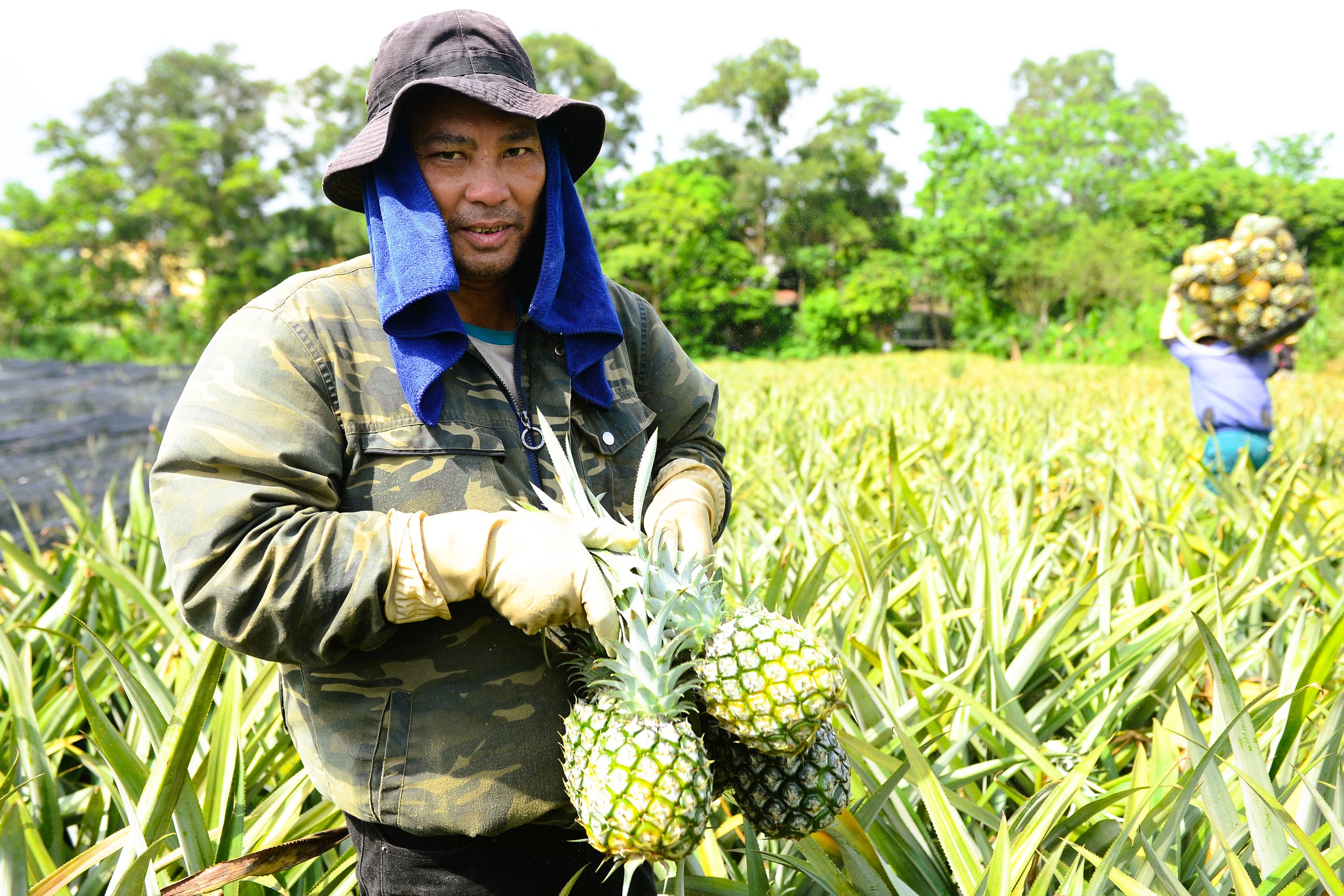 Nông dân mưu sinh trên đồng ruộng nắng chang chang - Ảnh 11.