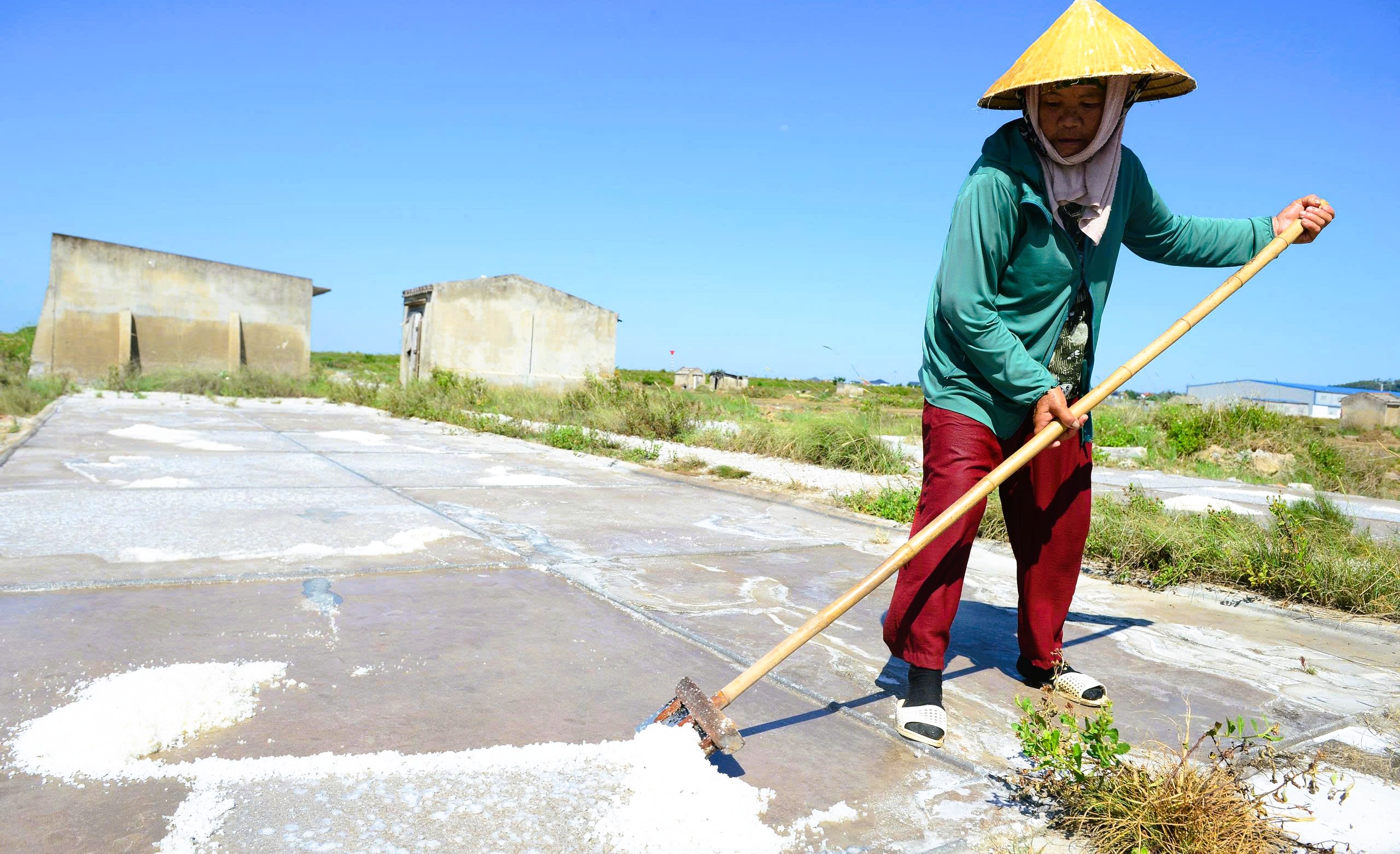 Nông dân mưu sinh trên đồng ruộng nắng chang chang - Ảnh 14.