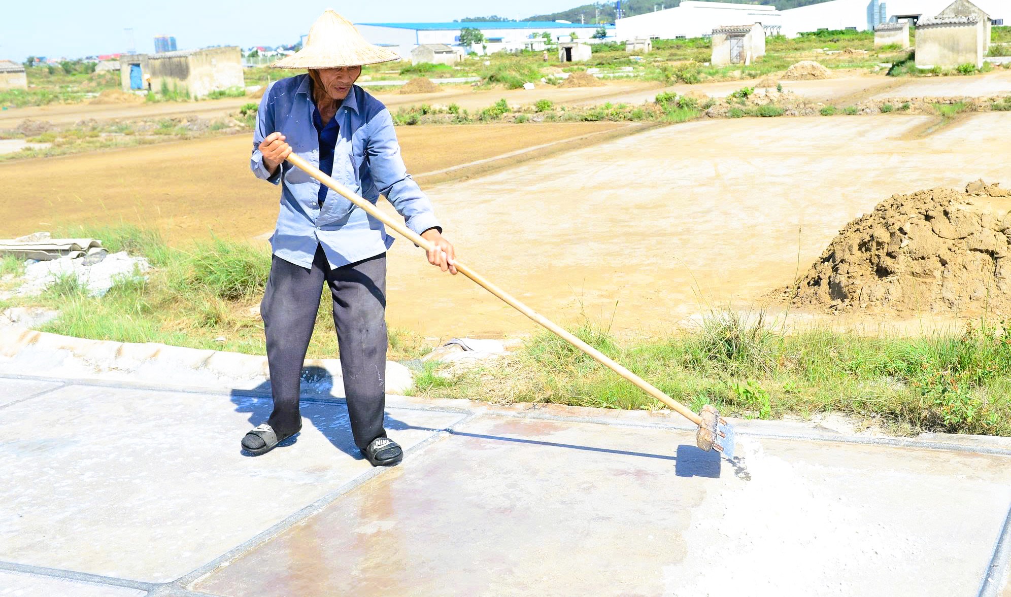 Nông dân mưu sinh trên đồng ruộng nắng chang chang - Ảnh 18.