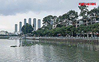 TPHCM ấm &aacute;p, th&acirc;n thương: Sức sống mới tr&ecirc;n b&aacute;n đảo Thủ Thi&ecirc;m - Ảnh 3.