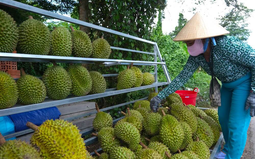 Muốn đi xa phải đi bài bản