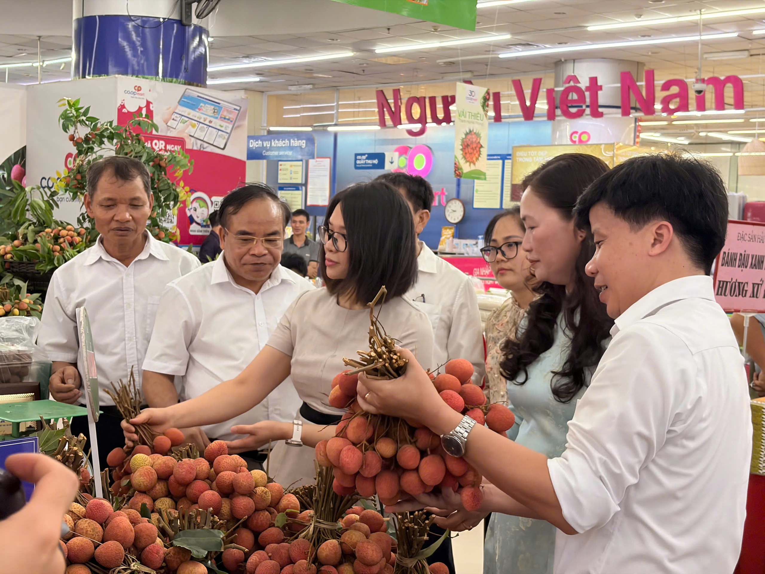 Saigon Co.op đưa 300 tấn vải Thanh Hà vào hệ thống phân phối toàn quốc - Ảnh 2.