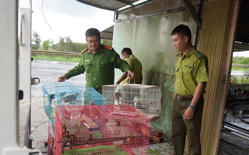 Hình ảnh nuôi nhốt, săn bắt động vật hoang dã trái phép ở Tây Ninh